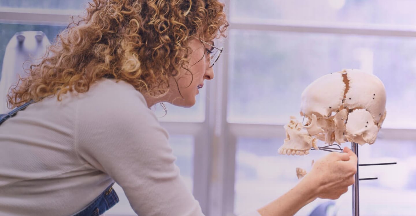 bastyr biology student examines model human skull