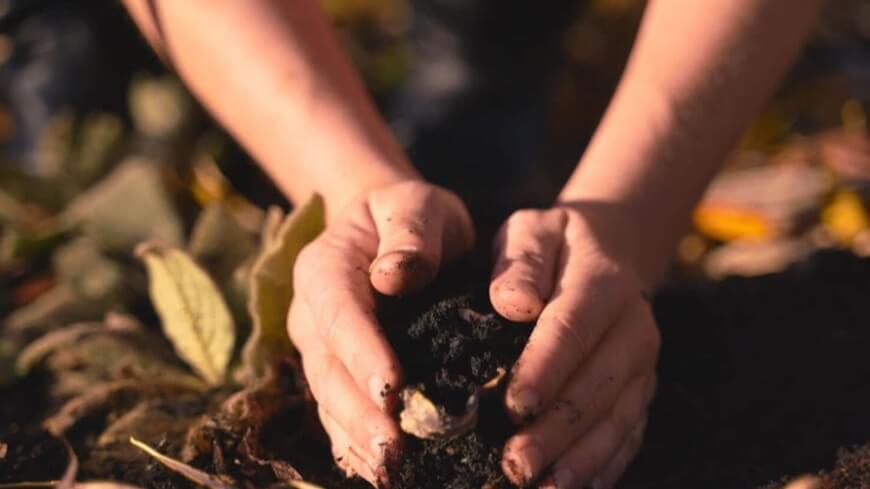 woman's hands holding soil